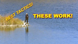 Urban Pond Bass Fishing: Mastering Pressured Waters with Expert Tips | Bass Fishing