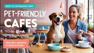 How to Introduce Your Dog to Pet-Friendly Cafes and Restaurants