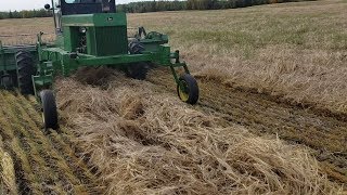 Swathing Lodged Barley!!  John Deere 2320 Crop lifters