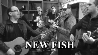 New Fish  (band) demo