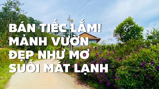 Tin nỗi ko? Vườn trái cây ven suối hơn 5000m2 gần Đà Lạt mà chỉ hơn 1 tỷ