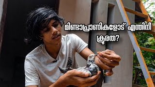 ഈ മിണ്ടാപ്രാണികൾ നമ്മളോട് എന്ത് തെറ്റ് ചെയ്തു😓 | ഇനി ഒരു ജീവിക്കും ഈ ഗതി വരരുത്.