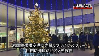 岩国錦帯橋空港に光輝くクリスマスツリーお目見え（岩国市）