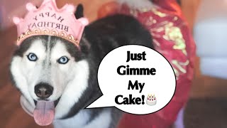 Celebrating Meekaβs Birthday! ππππ (SHE IS SO SASSY!) VLOG