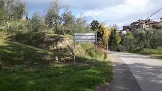 2011-11-09 Walking Home in Castelvecchio ~ Story of Xmas Trees Valleriana Tuscany Italy