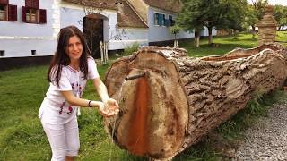 Viscri, traditional village of Transylvania  - Romania