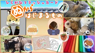 【フラッシュカード】☆ひらがなのお稽古＆語彙力のアップに☆「ぬから はじまるもの」