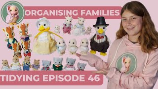 Organising Sylvanian Families into IKEA KALLAX Unit - Tidying Episode 46 (Calico Critters)