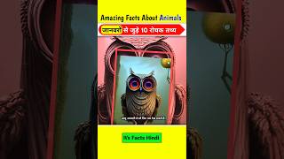 Amazing Facts About Animals 🦉🐋 | Mind Blowing Facts In Hindi | Random Facts | Animals Facts #shorts