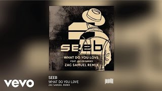 Seeb - What Do You Love (Zac Samuels Remix) ft. Jacob Banks