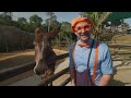 blippi visits a petting zoo best animal videos for kids kids songs and nursery rhymes