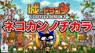 『城とドラゴン』実況プレイ：ネコLv30に戸惑うトロフィーバトルソロ【 城ドラ】