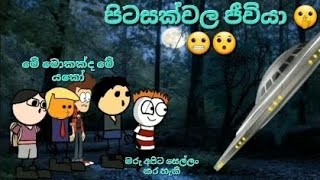 පිට සක්වල ජීවියා 😯😬🤫