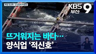 뜨거워지는 바다…양식업 ‘적신호’ / KBS  2022.10.07.