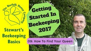 How to Find Your Queen