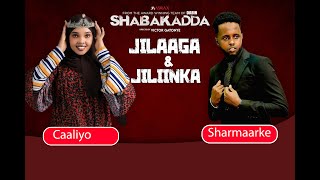 Jilaayga iyo Jiliinka | Taxanaha Shabakadda | Martida Maanta | Caaliya iyo Sharmaake.