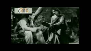 RAAT HAI TARON BHARI CHITKI HOI CHANDNI - LATA MANGESHKAR -  PARDES [1950]