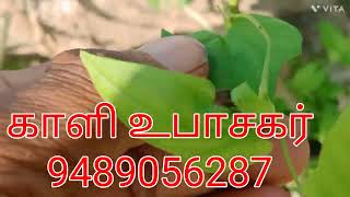 தொழில் மற்றும் கணவன் மனைவி வசியத்திற்கான கட்டுக்கொடி :::::;