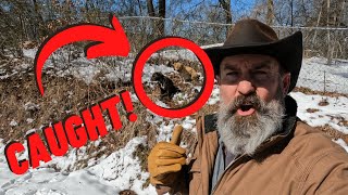 Dogs KILLED Our Rabbits! | Neighbors Confronted | Sheriff Called