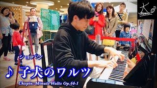 【ストリートピアノ】神戸駅で奏でる（ショパン：子犬のワルツ／Chopin: Minute Waltz Op.64-1）