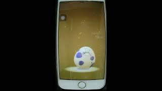 【ポケモンGO】10卵9連続孵化２