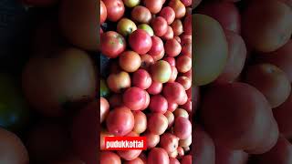 #pudukkottai #pudukkottaikingdom #tomato #market #vegetables #sivakumar-vlog #friuits #marketing