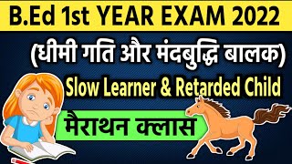 B.ed 1st Year Marathon Class 2022 | (धीमी गति और मंदबुद्धि बालक) | Slow Learner