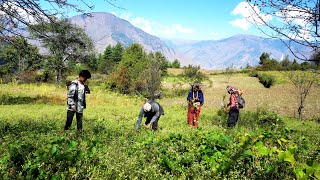 dharme brother's family enjoying their farming in the village || village farming system in Nepal ||