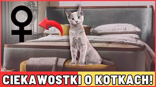 10 ZASKAKUJĄCYCH FAKTÓW O KOTKACH!