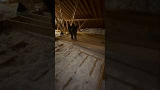 The best way to finish an attic? #handyman #diy #craftsmanship #construction #doityourself