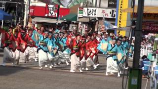 伊豆稲取温泉よいさかどっ恋・駅前メイン会場＠2012　東京よさこい