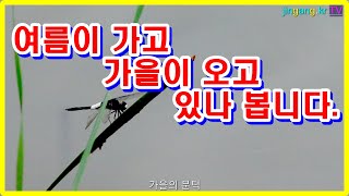 가을의 문턱에서