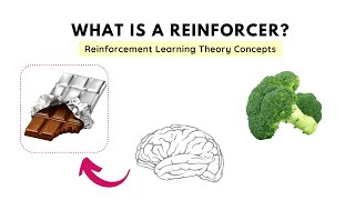 What is a Reinforcer and it's types? : Reinforcement Learning Theory (Operant Conditioning)