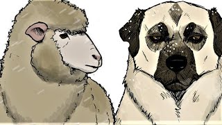 BIG JACK Rescue Sheep  | Pet foolery Comic dub EP 97