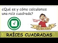 Raíz cuadrada. Introducción y raíces de números de 3 y 4 cifras. Parte 1