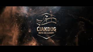 Ciak Dog - Movie Dog Academy