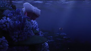 Finding Nemo - Corals Death Scene