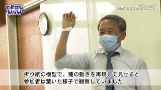 とよはしNOW　令和4年11月22日号　①名大出前授業 自然に見られる飛行のすごさ②とよはし みんなのまちなか絵画展