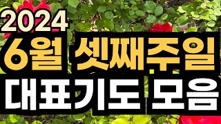 6월 대표기도 예시ㅣ6월 셋째주 주일예배기도 모음ㅣ6월 3주 대표기도문 모음ㅣ대표기도가 어려운분들을 위한 기도예시문ㅣ2024년 주일 예배 대표기도 준비