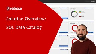 Solution Overview: SQL Data Catalog