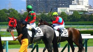 デムーロのキツイ鞭。川田と藤岡佑介が談笑、など２歳新馬の輪乗り。現地映像、阪神競馬場