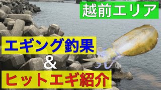 【エギング】越前釣果＆ヒットエギ