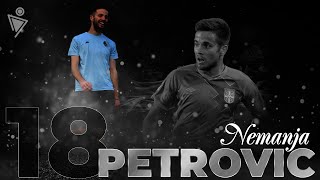 Nemanja PETROVIC ● LWB ● HIGHLIGHTS ● 2018-20