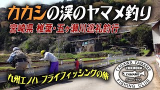 2025年4月　カカシの渓のヤマメ釣り　春本番 里川のフライフィッシング　崩壊したホームリバーに唖然！　宮崎県耳川・五ヶ瀬川