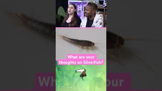 These Scaly Bugs Appear At The Worst Time