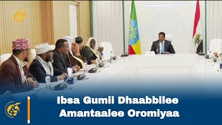 Ibsa Gumii Dhaabbilee Amantaalee Oromiyaa