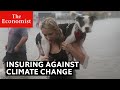 Can you insure against climate change?