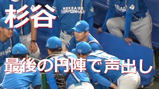 杉谷 最後の気合いの声出し 仲間スルーで爆笑！侍ジャパン 2022-11-5