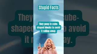 Mind Blowing Facts That Will Make You Question Everything