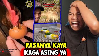 INI YANG BIKIN MOOD KITA NAIK 1000% - Reaction Demik Animal